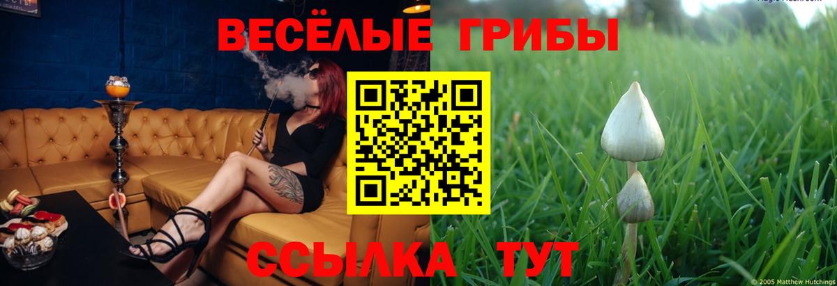 Псилоцибиновые грибы ЛСД Людиново
