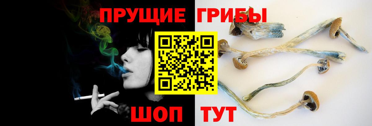 Людиново  Галлюциногенные грибы мицелий  Псилоцибиновые грибы мухоморы  Вход с VPN 